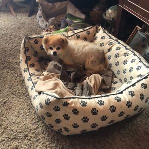 Meet your Posher, Laurie